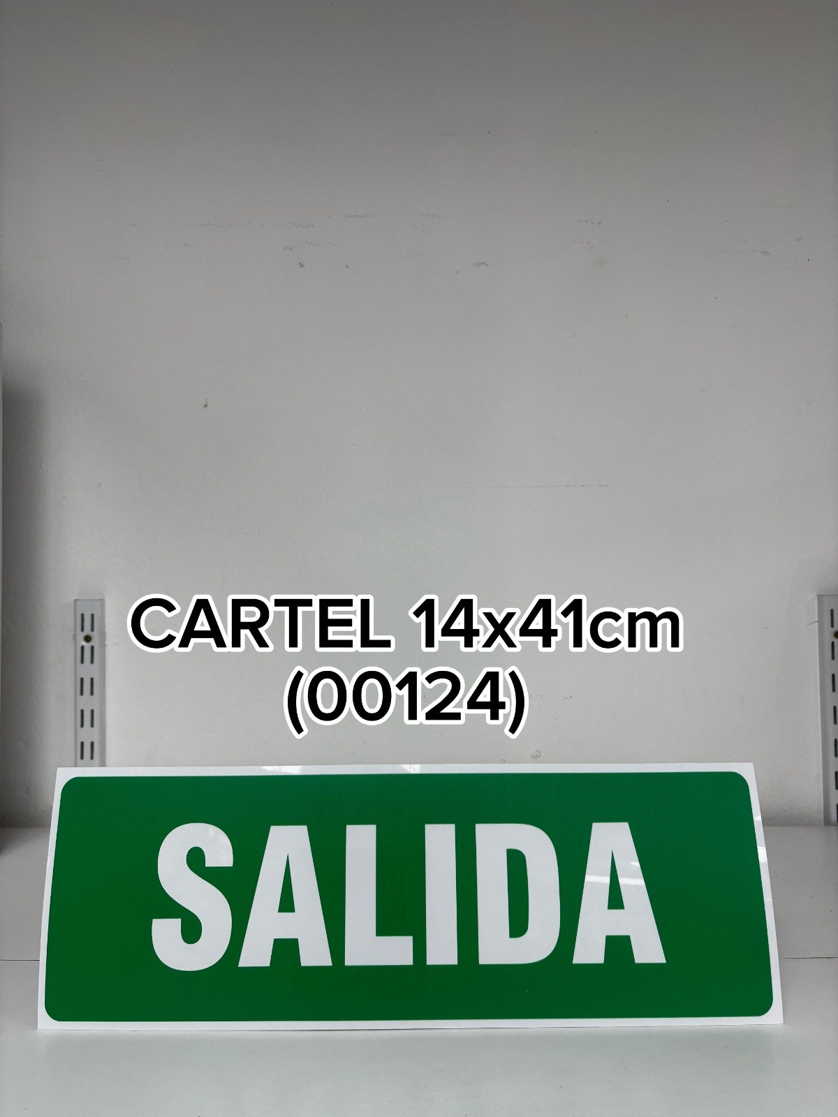 CARTEL SALIDA GRANDE (14X41)