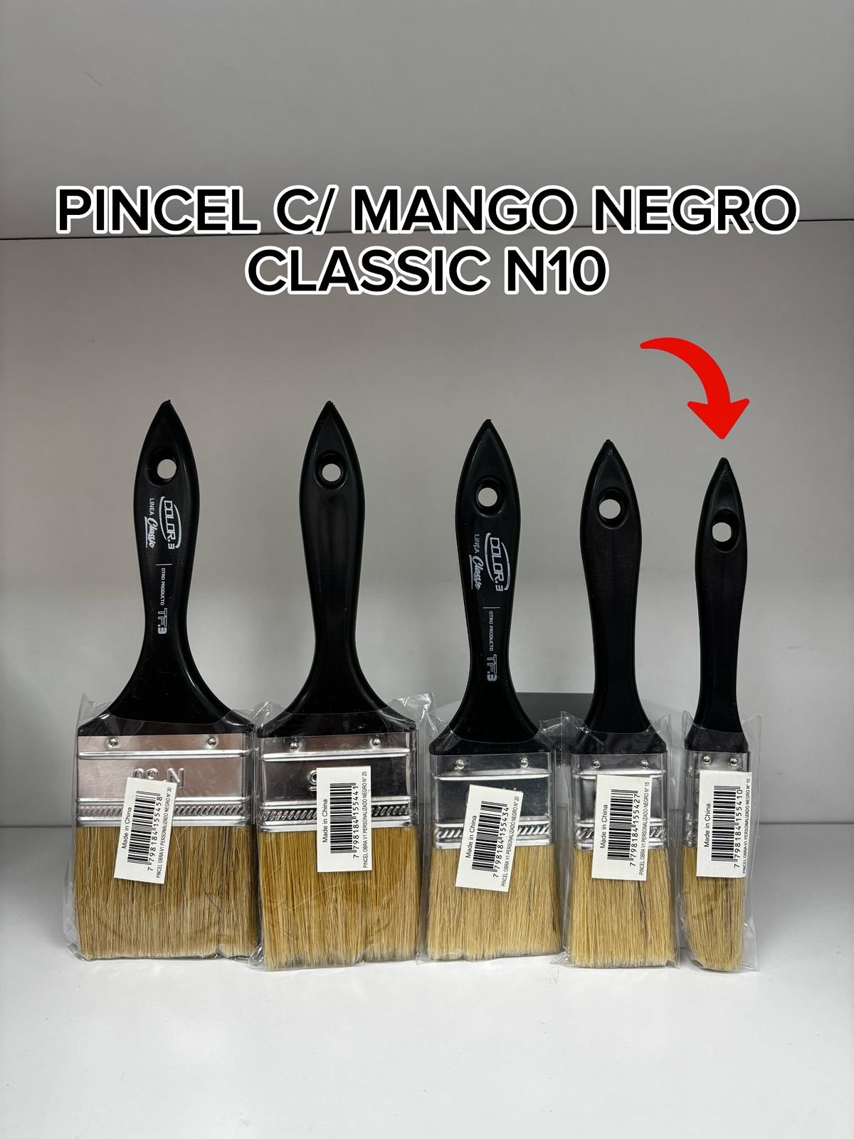 PINCEL C/ MANGO NEGRO CLASSIC N10 TF3