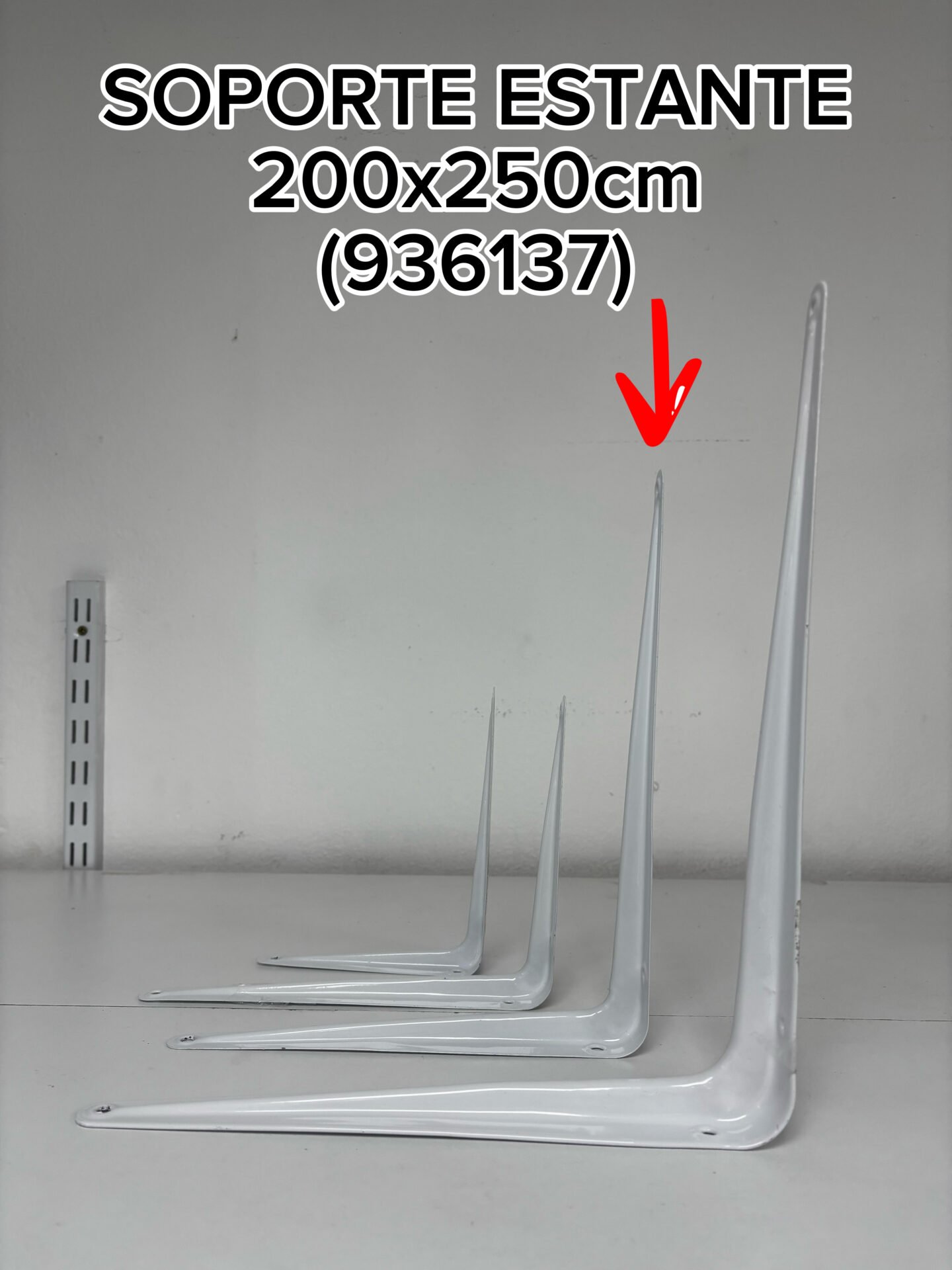 SOPORTE ESTANTE 200X250CM MAEZ