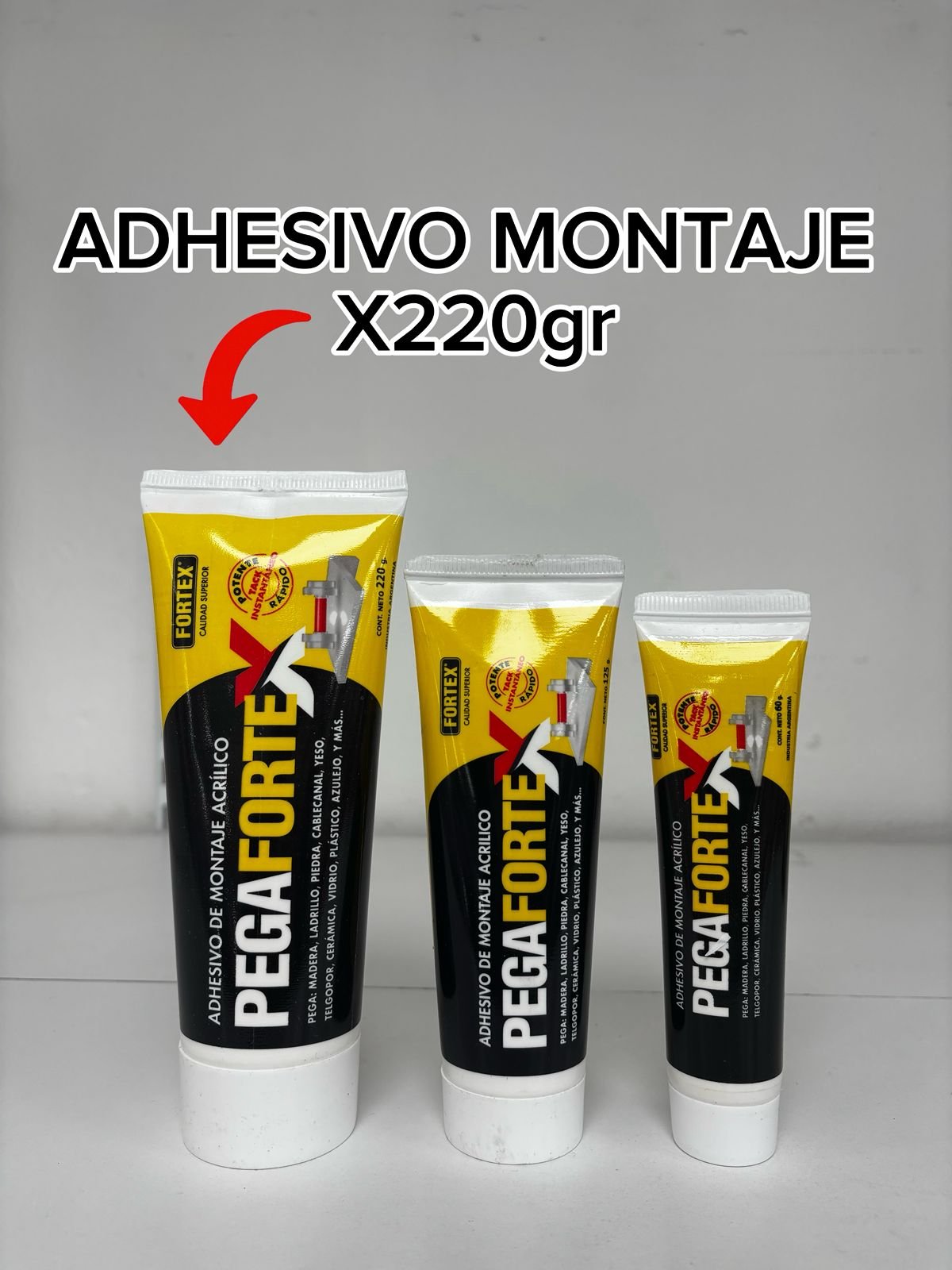 ADHESIVO DE MONTAJE PEGAFORTE 220GRS