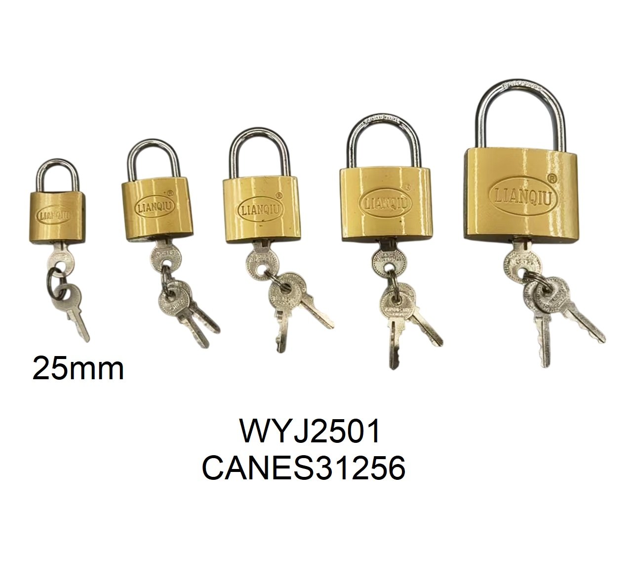 CANDADO METAL 25MM WYJ2501-600 CANES31256