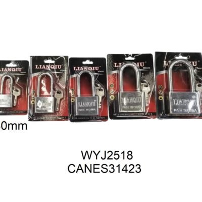 CANES31423 – 副本