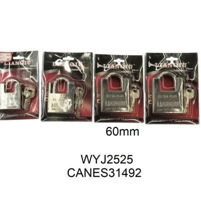 CANES31492 – 副本