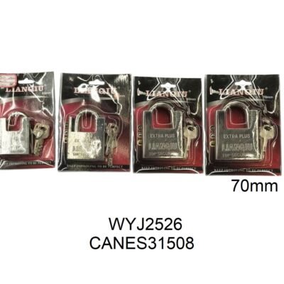 CANES31508 – 副本