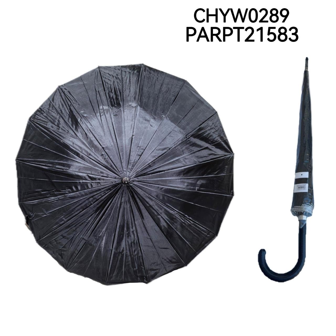 PARAGUA CHYW0289-60