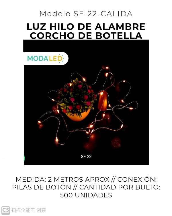 LUZ LED HILO ALAMBRE 20LUCES SF-22-CALIDA-500