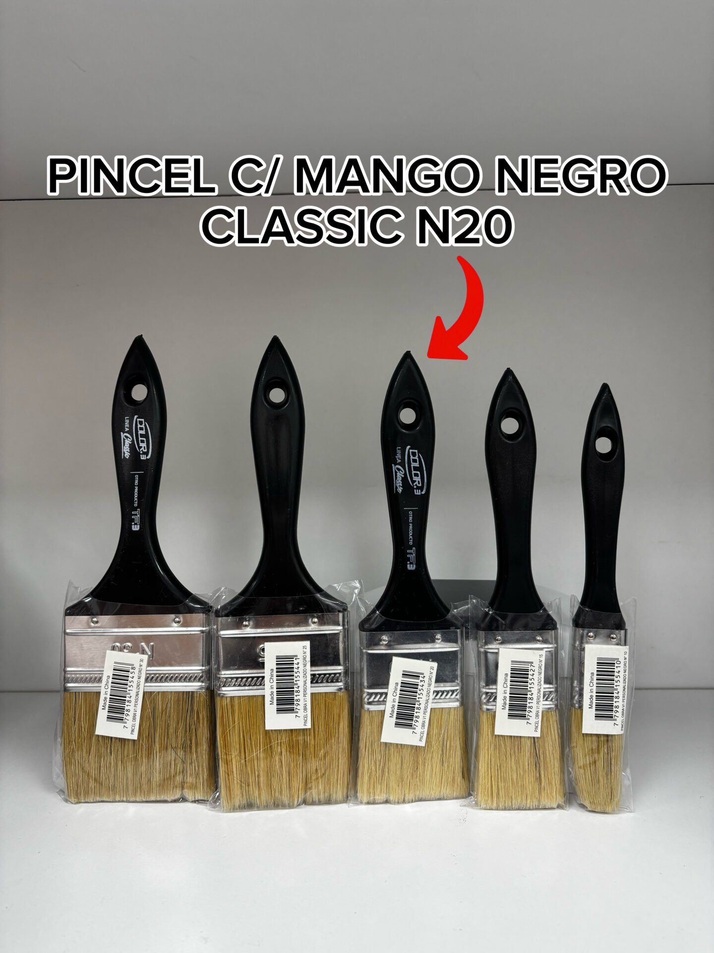 PINCEL C/MANGO NEGRO CLASSIC N20 TF3