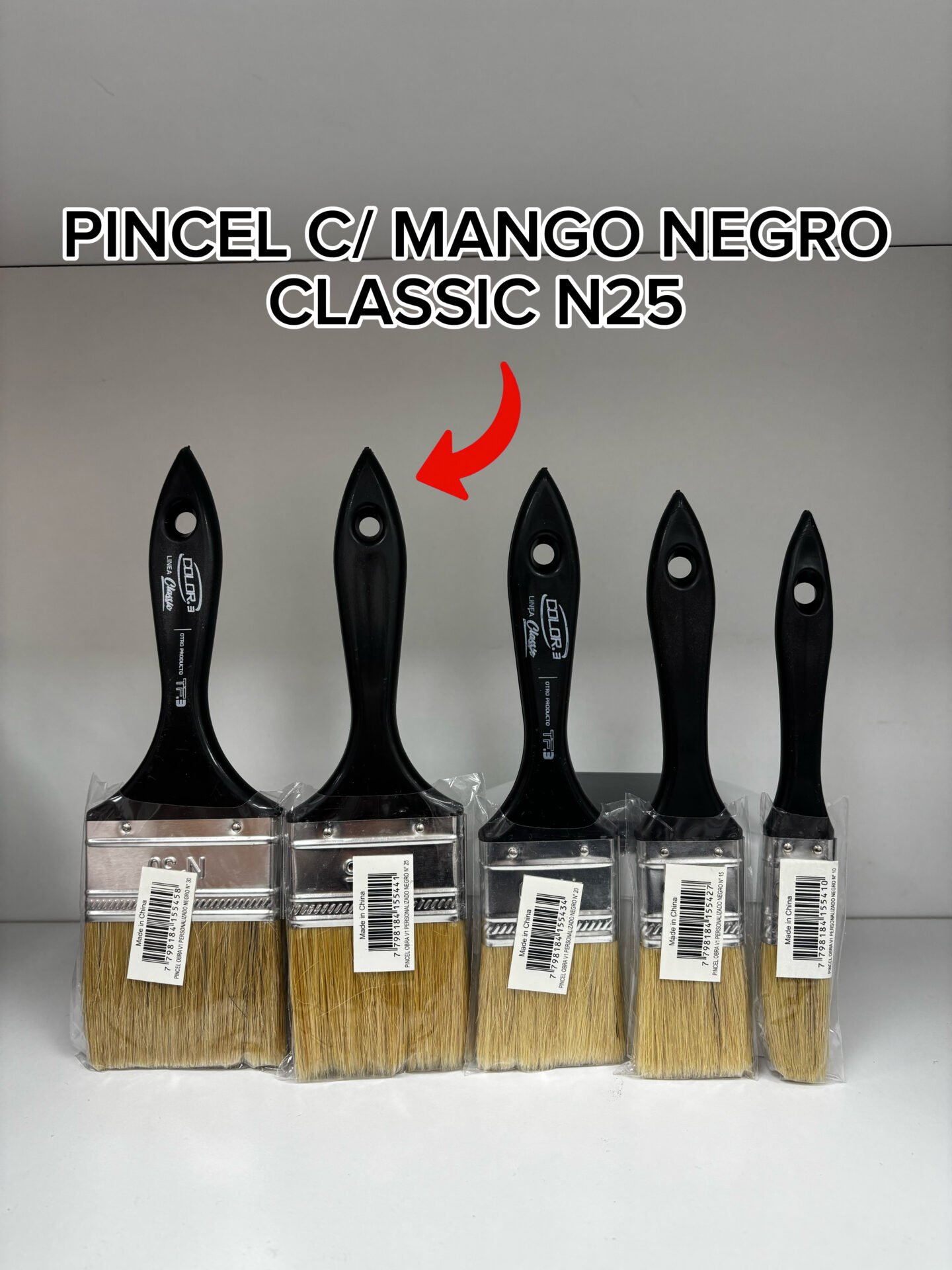 PINCEL C/MANGO NEGRO CLASSIC N25 TF3