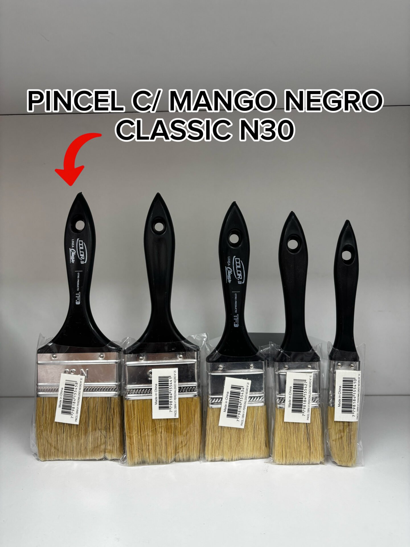 PINCEL C/MANGO NEGRO CLASSIC N30 TF3 155502